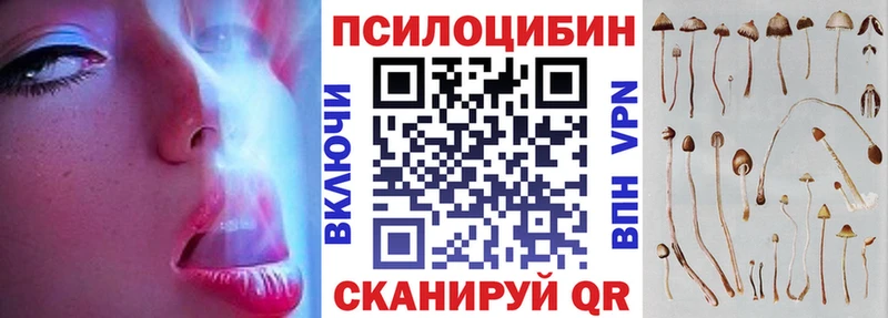 Галлюциногенные грибы Psilocybe  Купить  Энем 