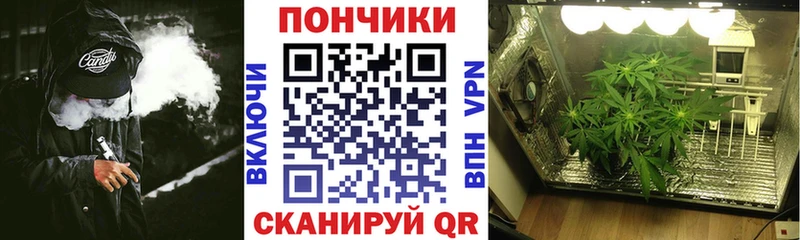 Купить где  Энем  Каннабис THC 21% 